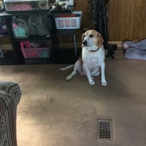 Meet your Posher, Sylvia